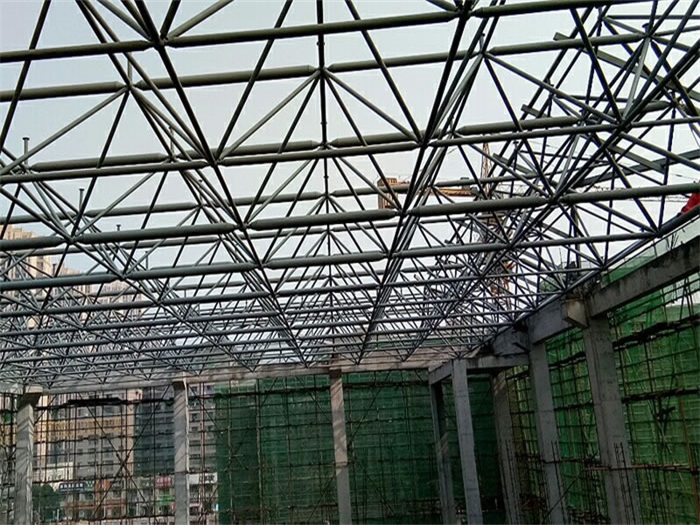 定西光谷第十一小学网架
